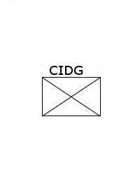 CIDG TOE 1-64, Guerrilla Company (Light)