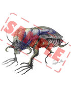 Image- Stock Art- Stock Illustration- Monster insect- Catacombs scavenger