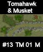 Stream #13 TOMAHAWK & MUSKET Series for Skirmish rules
