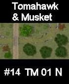 Stream #14 TOMAHAWK & MUSKET Series for Skirmish rules