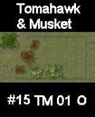 Stream #15 TOMAHAWK & MUSKET Series for Skirmish rules