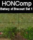 HONComp Battery of Brecourt Set #1