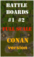 BattleBoards #1 #2 The Gate Of The Swamp CONAN Version