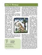 Apes and Monkeys