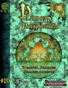Player Paraphernalia #20 The Elemental Summoner