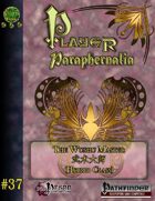 Player Paraphernalia #37 The Wushu Master (hybrid class)