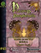 Player Paraphernalia #40 Master of the Way (hybrid class)