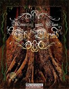 Advancing with Class: The Druid