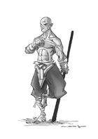 RPG Fantasy Character, Male, Human Monk