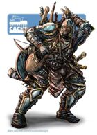 Character Cache - Banvaro