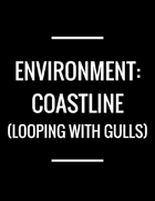 ENVIRONMENT: Coastline with Gulls