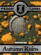 Skinner Games - Autumn Ruins