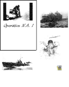 Operation N.A. 1