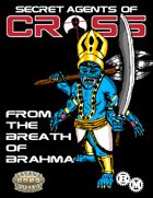 Secret Agents of CROSS Mission: From the Breath of Brahma