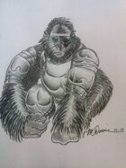 Advanced Ape Class