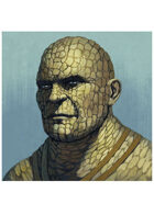 Colour card art - portrait: temeran - RPG Stock Art