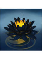 Colour card art - items: black lotus - RPG Stock Art