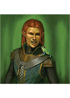 Colour card art - character: elf sorcerer with familiar - RPG Stock Art