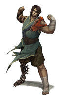 Vagelio Kaliva - Stock character digital Illustration - Half elf monk