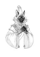 Character stock sketch series: Catfolk Wizard