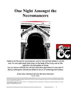 One Night Amongst the Necromancers