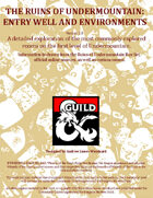 The Ruins of Undermountain - The Entry Well and Environments