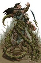 Environmental Divine Domains