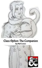 Class Option: The Companion