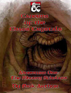 Caverns of the Chaos Crystals: The Missing Scholars