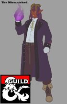 The Mismatched - A party of 5 adventurers