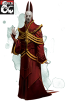 Warlock Patron (The Archmage)