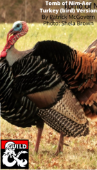 Turkey (bird) version of Tomb of Nim-Aer