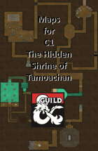 C1 Hidden Shrine of Tamoachan - Maps