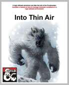 Into Thin Air