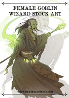 Female Goblin Wizard Stock Art