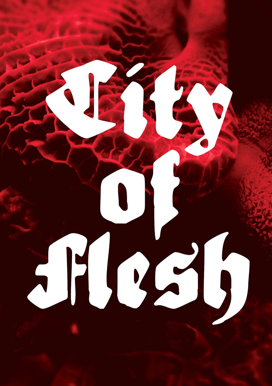 City of Flesh