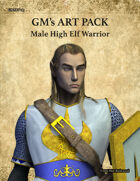 GMART189 Male High Elf Warrior