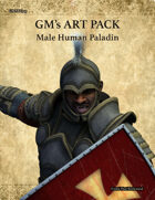 GMART349 Male Human Paladin